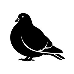 A Complete Overview of Pigeon Behavior Characteristics and their Unique Roles in the Urban Landscape