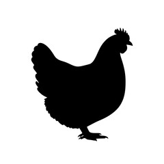 Black Chicken Silhouette on a White Background A Simple Yet Elegant Illustration of Domestic Poultry