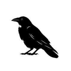 Silhouette of a Majestic Raven Perched Stately A Symbol of Mystery and Intrigue Observed in Nature