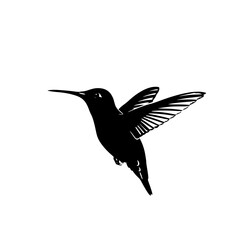 Graceful Hummingbird Flight Captured in Striking Silhouette A Nature Inspired Digital Artwork Exploring Light and Form