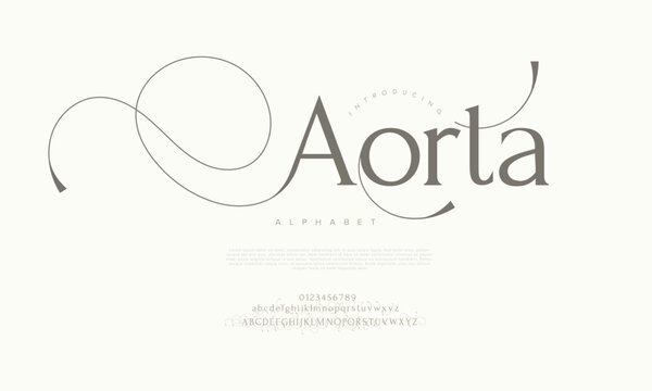 Modern elegant serif font with luxurious swashes, perfect for branding and editorial design