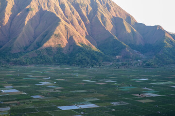 Golden sunrise bathes Pergasingan Hill, revealing lush rice paddies from Selong Hill viewpoint in Sembalun, Lombok—tranquil harmony of agriculture and mountain landscape.