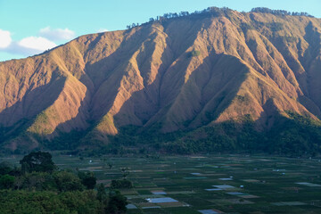 Golden sunrise bathes Pergasingan Hill, revealing lush rice paddies from Selong Hill viewpoint in Sembalun, Lombok—tranquil harmony of agriculture and mountain landscape.
