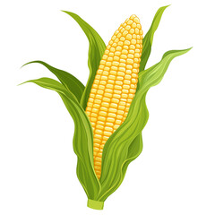 Fresh corn cob with green husk on transparent background