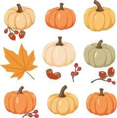 Pastel Pumpkin Vector Collection – Hand Drawn Autumn Harvest Illustration on White Background