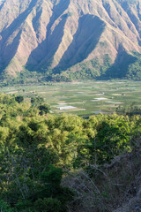 Majestic view of Pergasingan Hill glowing under soft morning light, seen from Selong Hill in Sembalun, Lombok—where dramatic ridgelines meet tranquil rural charm.