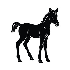 Foal vector silhouette