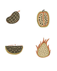 set of fresh fruits