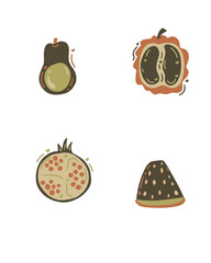 vector illustration of a set of fruits