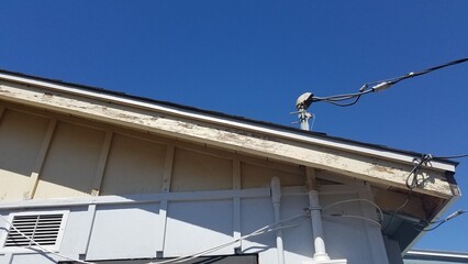 Home Improvement Peeling Paint on Wood Trim Exterior, Prep Work and Painting