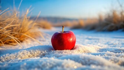 A single apple lies on dry grass under the blanket of first snow