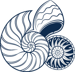 Isolated vector illustration of a nautilus shell, a natural spiral pattern from the sea