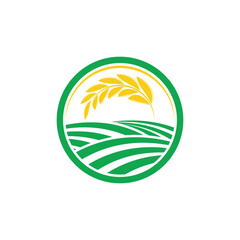 Stylized Agriculture wheat Logo Template vector icon design © evandri237@gmail