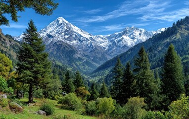 Obraz premium Majestic mountain range with lush forest