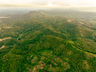 Drone aerial of jungle-covered peak at dusk