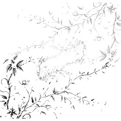 vector illustration of an abstract background