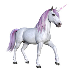 Obraz premium Magical unicorn with flowing mane and graceful pose isolated on white background