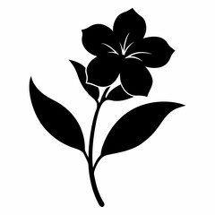 oleander silhouette  vector on white background