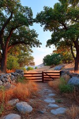 Peaceful rural path through trees