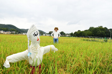 新米の豊作に喜ぶ生産者