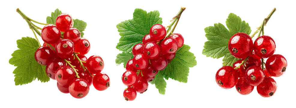 Fresh red currants with green leaves. Perfect for food blogs, recipes, and healthy eating content. - Powered by Adobe