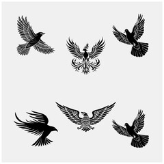 Obraz premium Black and white beutiful birds106