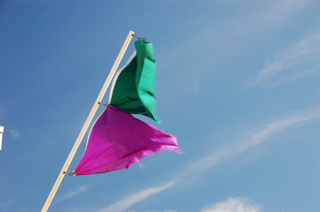 Green and purple beach warning flags waving in the wind against a clear blue sky, with a modern building visible in the background
