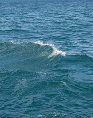 waves on the sea. water splashing.