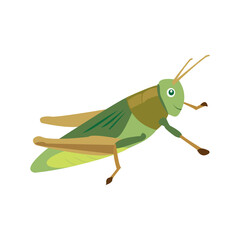 Grasshopper