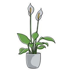 Vector illustration of a Peace Lily plant in a pot. Minimalist and aesthetic design, perfect for decoration, houseplant icons, and nature-themed design projects.