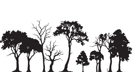 Tree Set , Tree set silhouette 