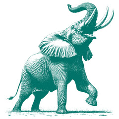 African Elephant Vector