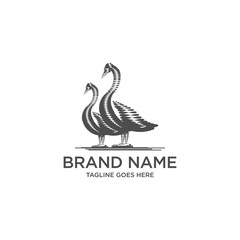 Elegant Swan logo Design