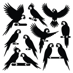 Obraz premium Macaw Silhouettes: A Collection of Avian Elegance