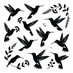 Naklejka premium Hummingbird Silhouettes: A Floral Flight Collection