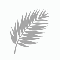 Fototapeta premium Gray palm leaf illustration on neutral background 