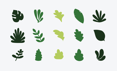 Stylized Floral Leaves Graphic Pack