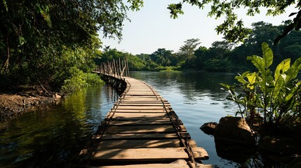 Tranquil wooden pathway over water lush tropical landscape nature photography calm environment bird's eye view serenity concept