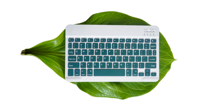 Above view of modern wireless keyboard on green wide leaf isolated on transparent background - Powered by Adobe