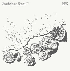 Seashells on Beach A Beautiful and Serene Coastal Illustration for All to Enjoy