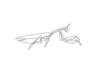 Wild Praying mantis in single outline illustration. Continuous line art drawing of mantis. Editable stroke.