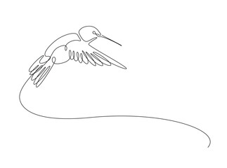 flying colibri or hummingbird in single outline illustration. Continuous line art drawing of hummingbird bird. Editable stroke.