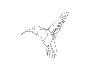 flying colibri or hummingbird in single outline illustration. Continuous line art drawing of hummingbird bird. Editable stroke.