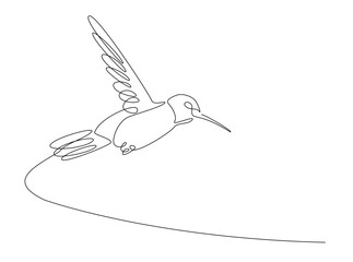 flying colibri or hummingbird in single outline illustration. Continuous line art drawing of hummingbird bird. Editable stroke.
