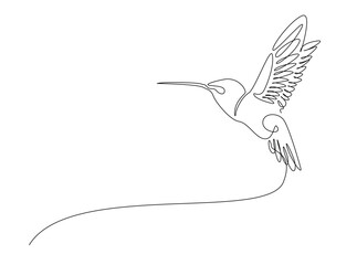 flying colibri or hummingbird in single outline illustration. Continuous line art drawing of hummingbird bird. Editable stroke.