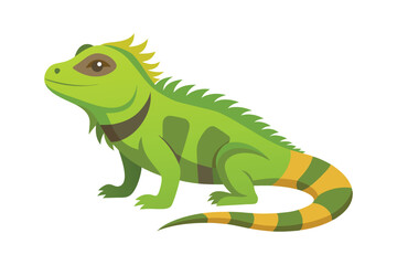 Obraz premium Iguana animal isolated on white background
