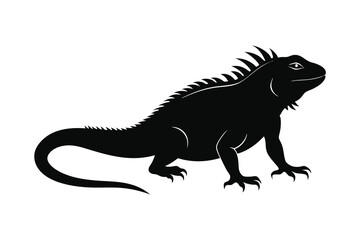 Fototapeta premium iguana black silhouette vector illustration on white background