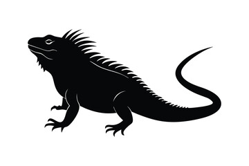 Naklejka premium Iguana silhouette on white background