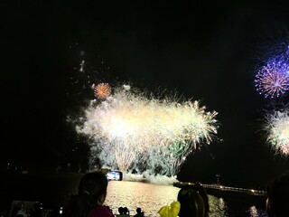 夜空に浮かぶ花火