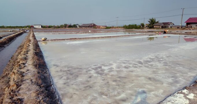 wide view of crystallizing salt pans narrows to a close-up of a woven basket brimming with the harvest.